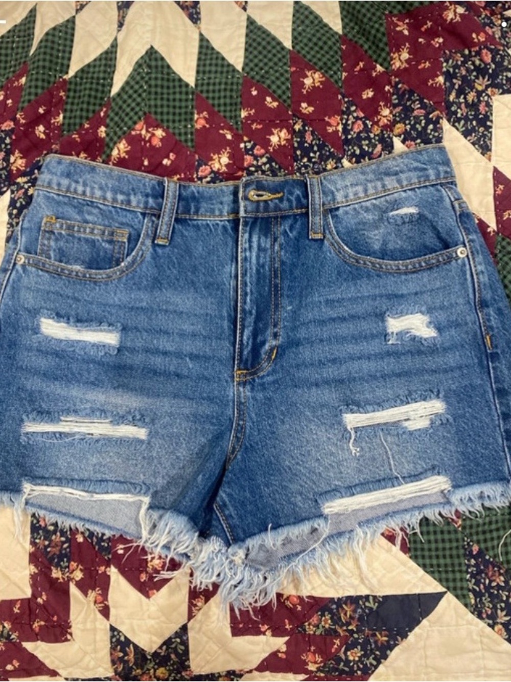 Altar'd State Distressed Blue Denim Cutoff Shorts